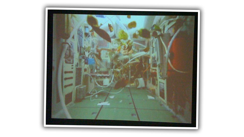 That’s a still from the film, looking at the 1/12 scale model of the Mir interior. Thanks for indulging me.